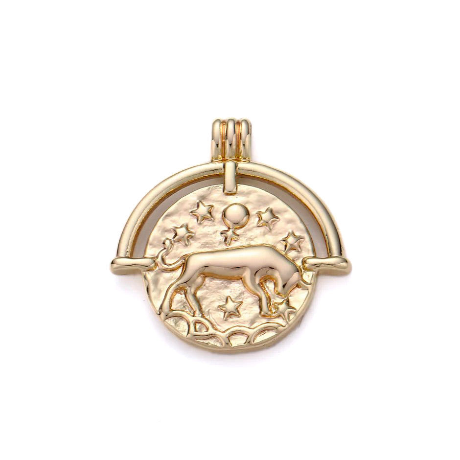 Zodiac Medallion Necklace by Jonesy Wood