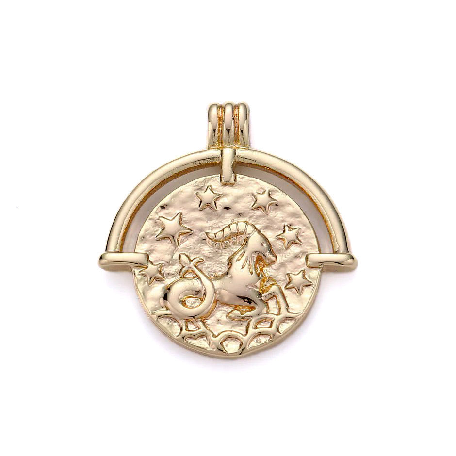 Zodiac Medallion Necklace by Jonesy Wood