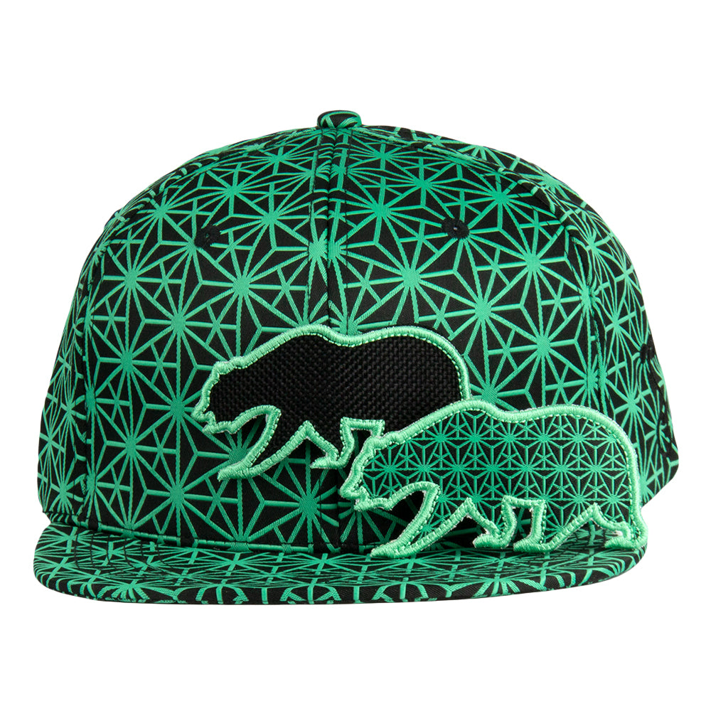 Removable Bear Geo Triangles Seafoam Snapback Hat by Grassroots California