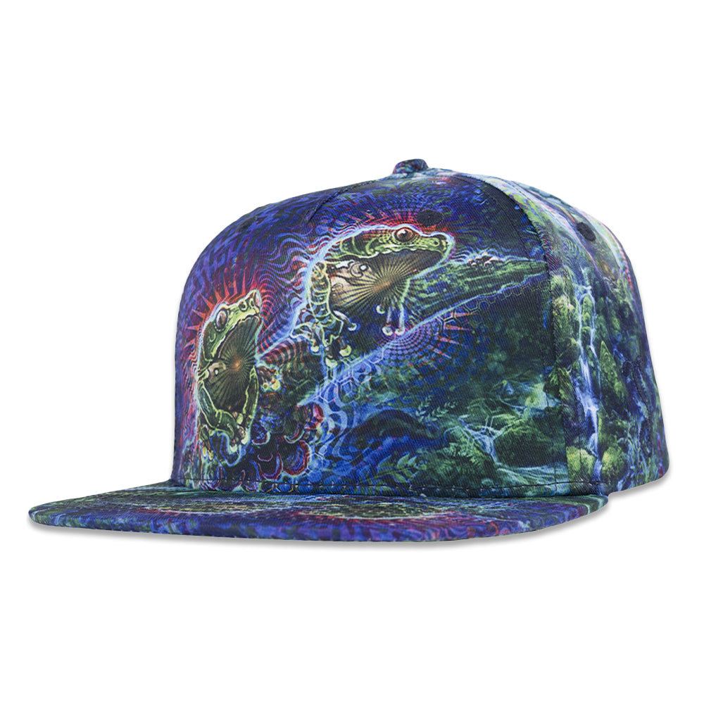 Simon Haiduk Fable Print Fitted Hat by Grassroots California