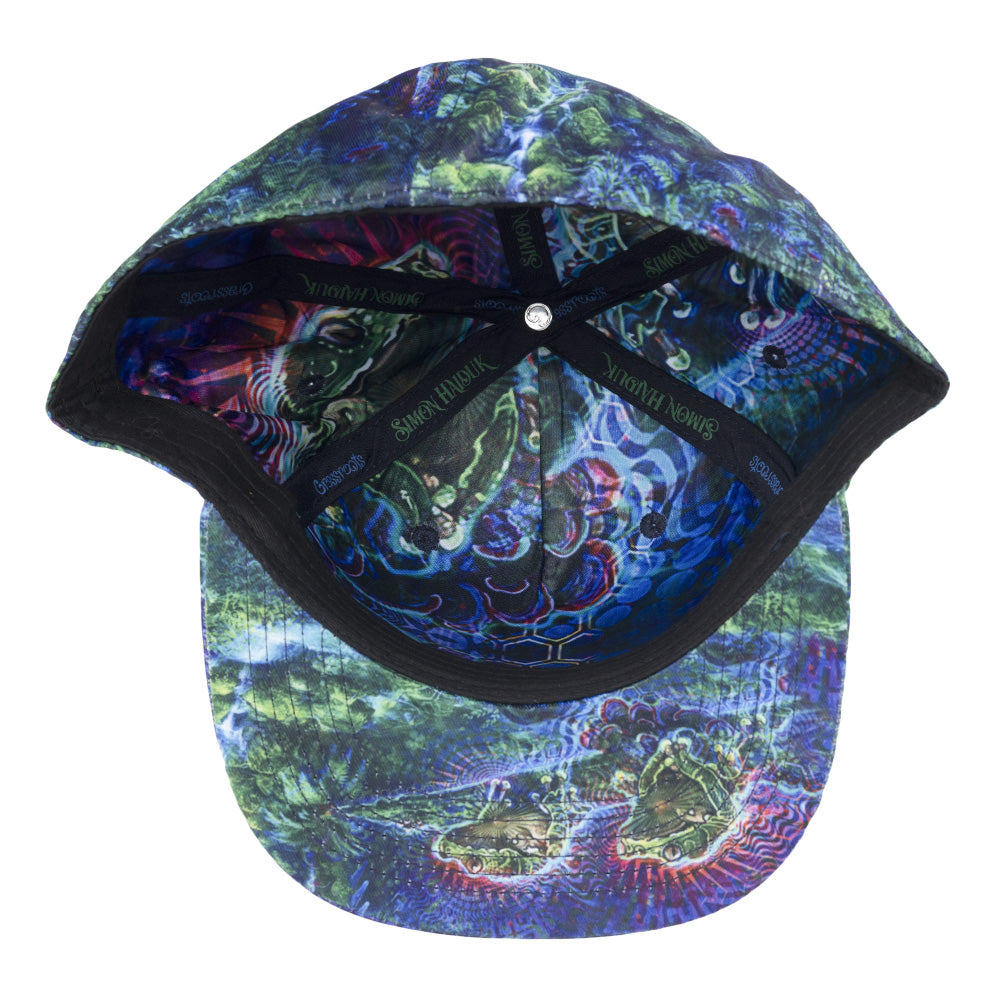 Simon Haiduk Fable Print Fitted Hat by Grassroots California