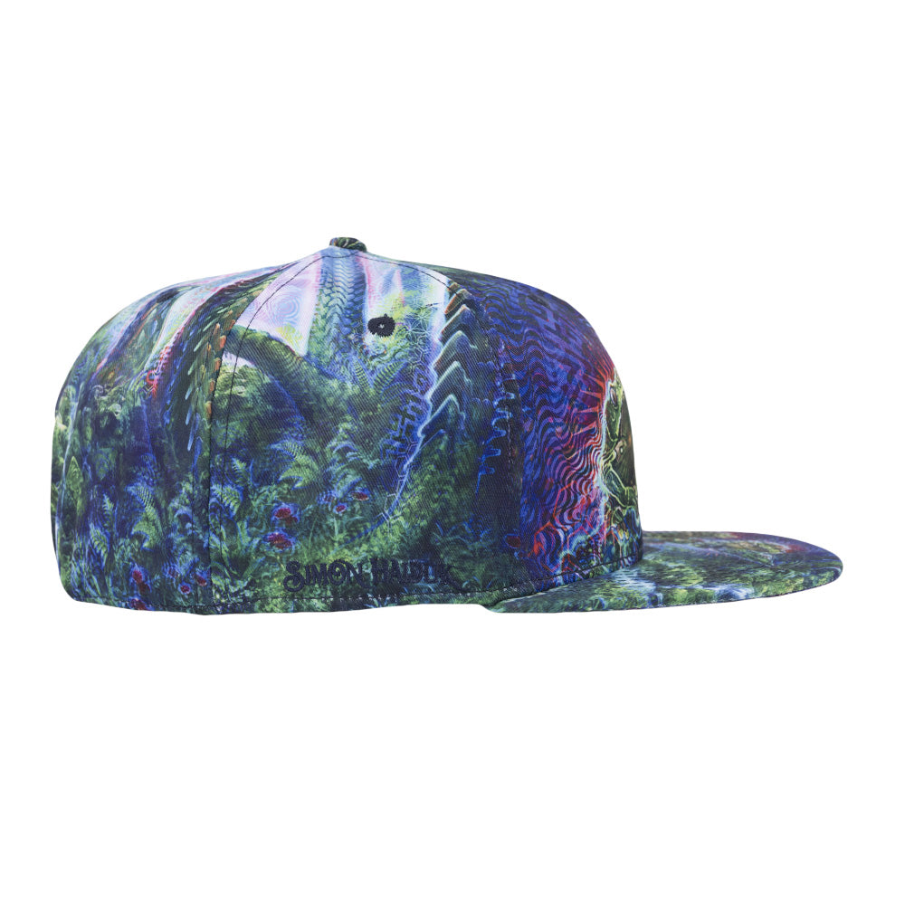 Simon Haiduk Fable Print Fitted Hat by Grassroots California