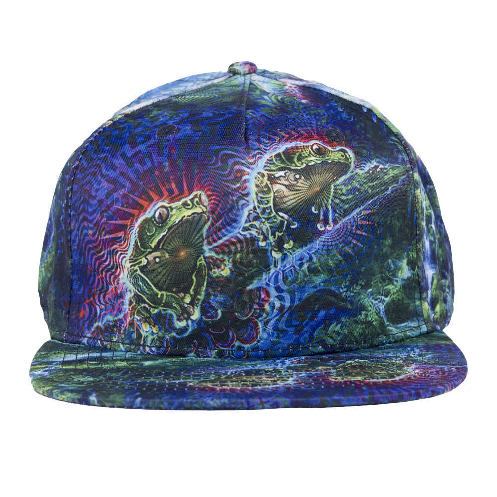 Simon Haiduk Fable Print Fitted Hat by Grassroots California