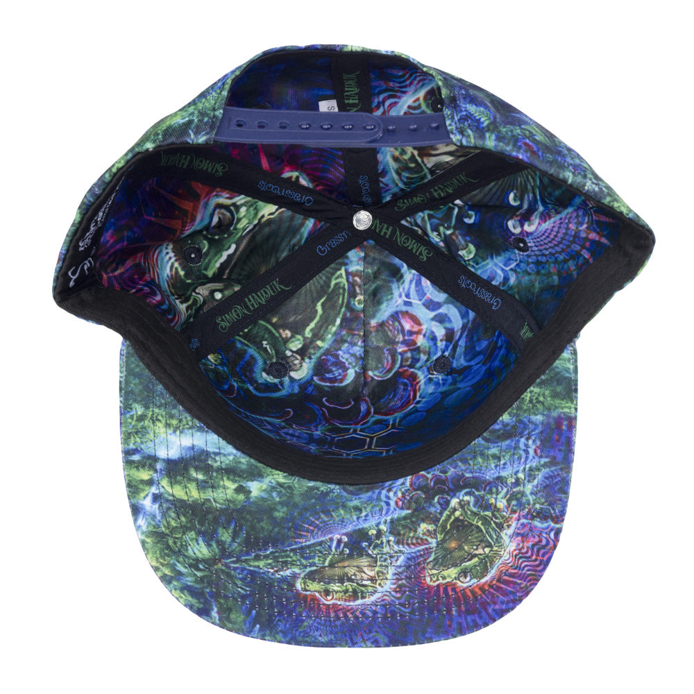 Simon Haiduk Fable Print Snapback Hat by Grassroots California