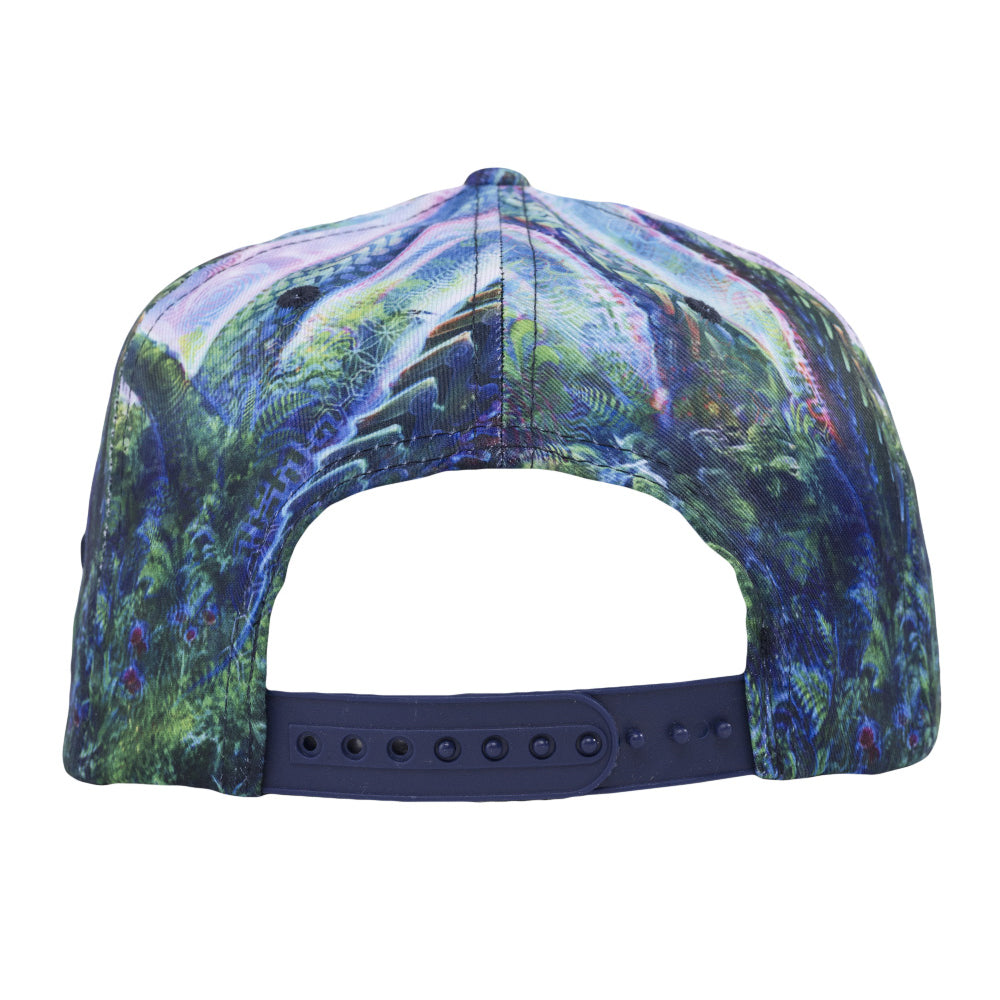 Simon Haiduk Fable Print Snapback Hat by Grassroots California