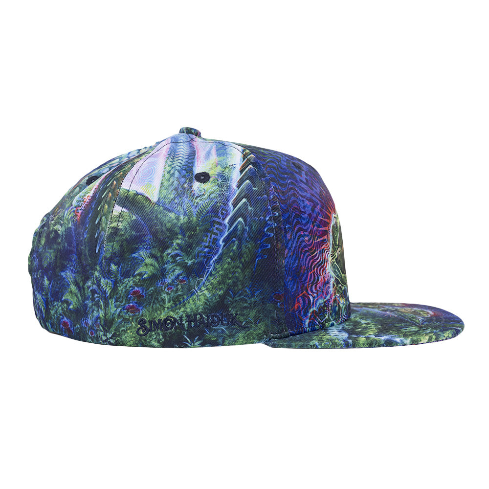 Simon Haiduk Fable Print Snapback Hat by Grassroots California