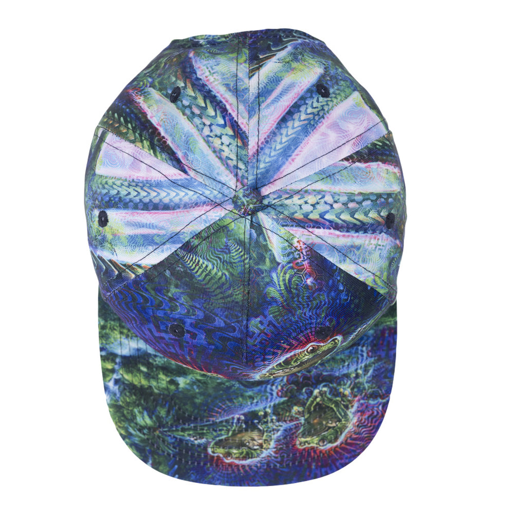 Simon Haiduk Fable Print Snapback Hat by Grassroots California