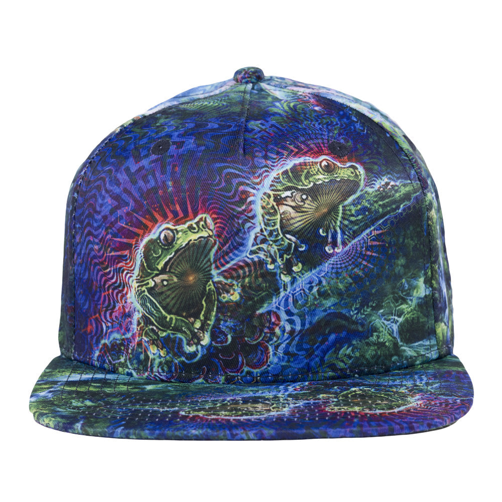 Simon Haiduk Fable Print Snapback Hat by Grassroots California