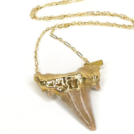 Shark Tooth Necklace by Jonesy Wood